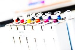 Basiskurs (Flexo-)Druck von Etiketten und Verpackungen
